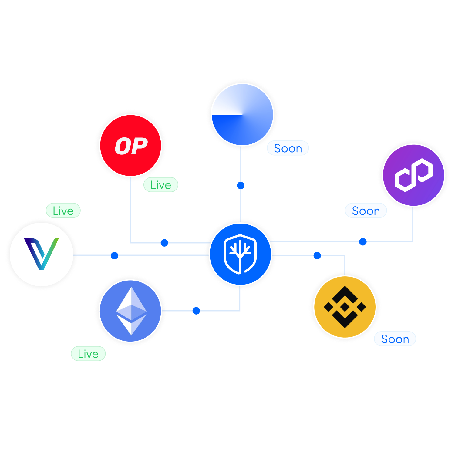 Multichain Storage for Your Encrypted Data Shares